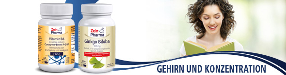 Gehirn & Konzentration